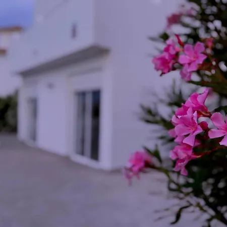 9- Mister Nine Σαν Μιγκέλ ντε Αμπόνα