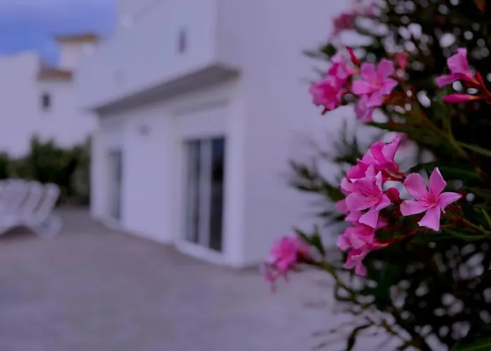 9- Mister Nine San Miguel de Abona