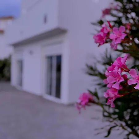 9- Mister Nine * San Miguel de Abona